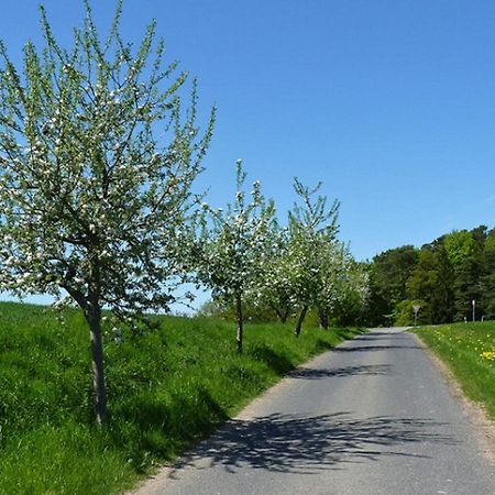 Ferienwohnung Jacobi Kurfuerst Naumburg (Hessen) Bagian luar foto