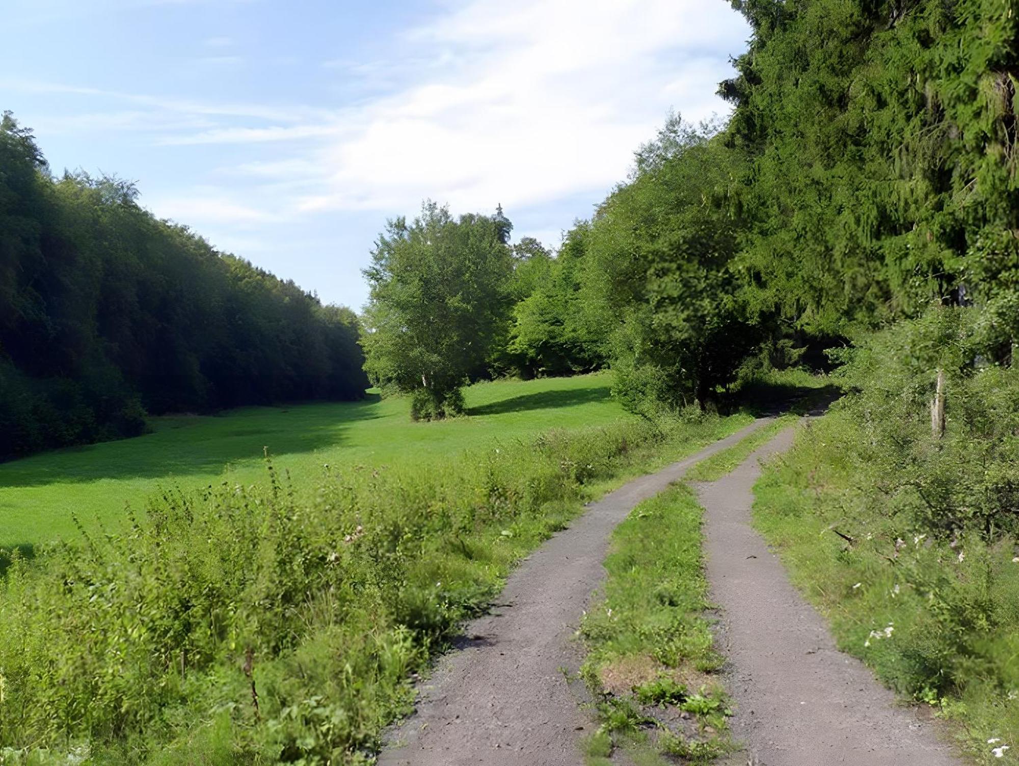 Ferienwohnung Jacobi Kurfuerst Naumburg (Hessen) Bagian luar foto