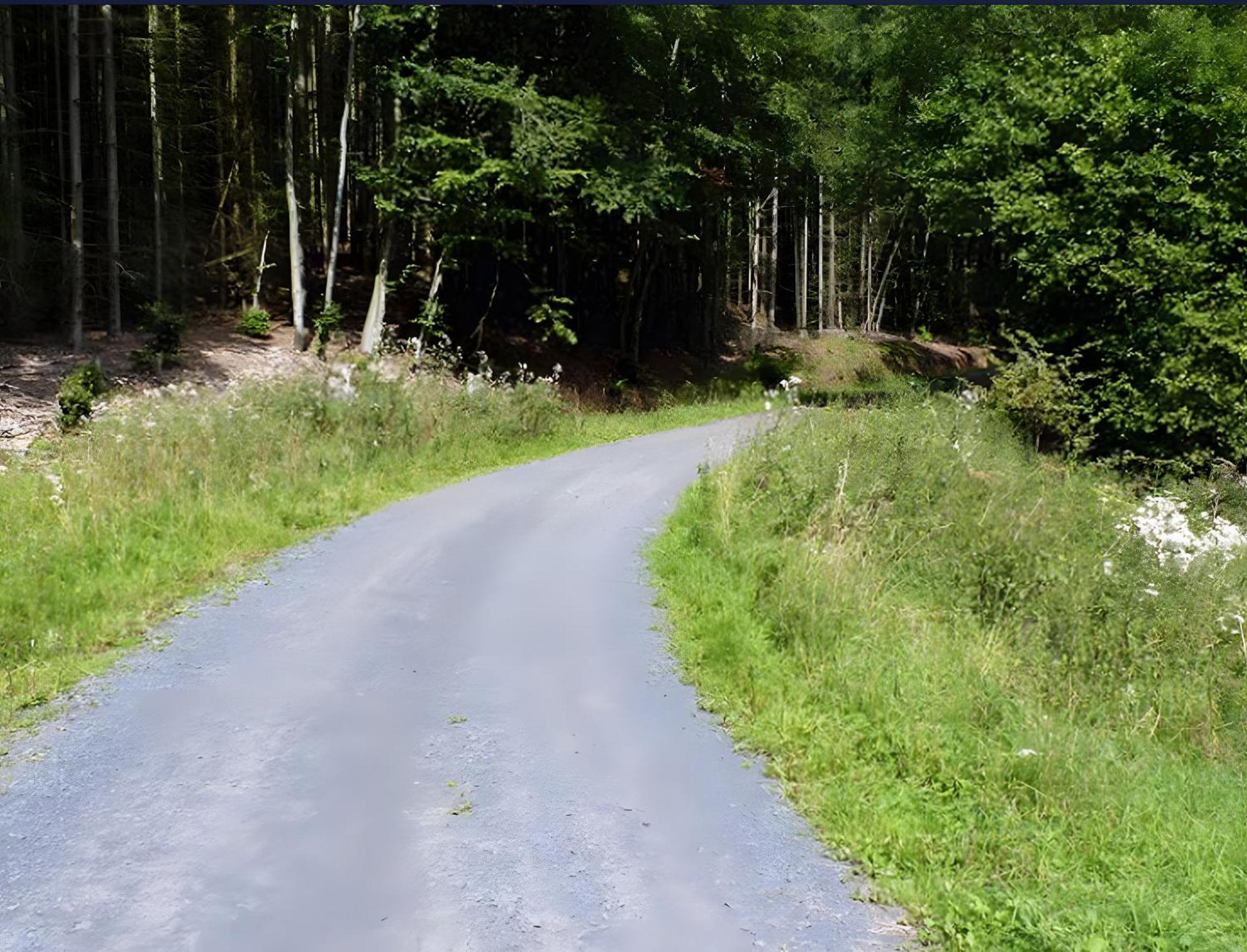 Ferienwohnung Jacobi Kurfuerst Naumburg (Hessen) Bagian luar foto