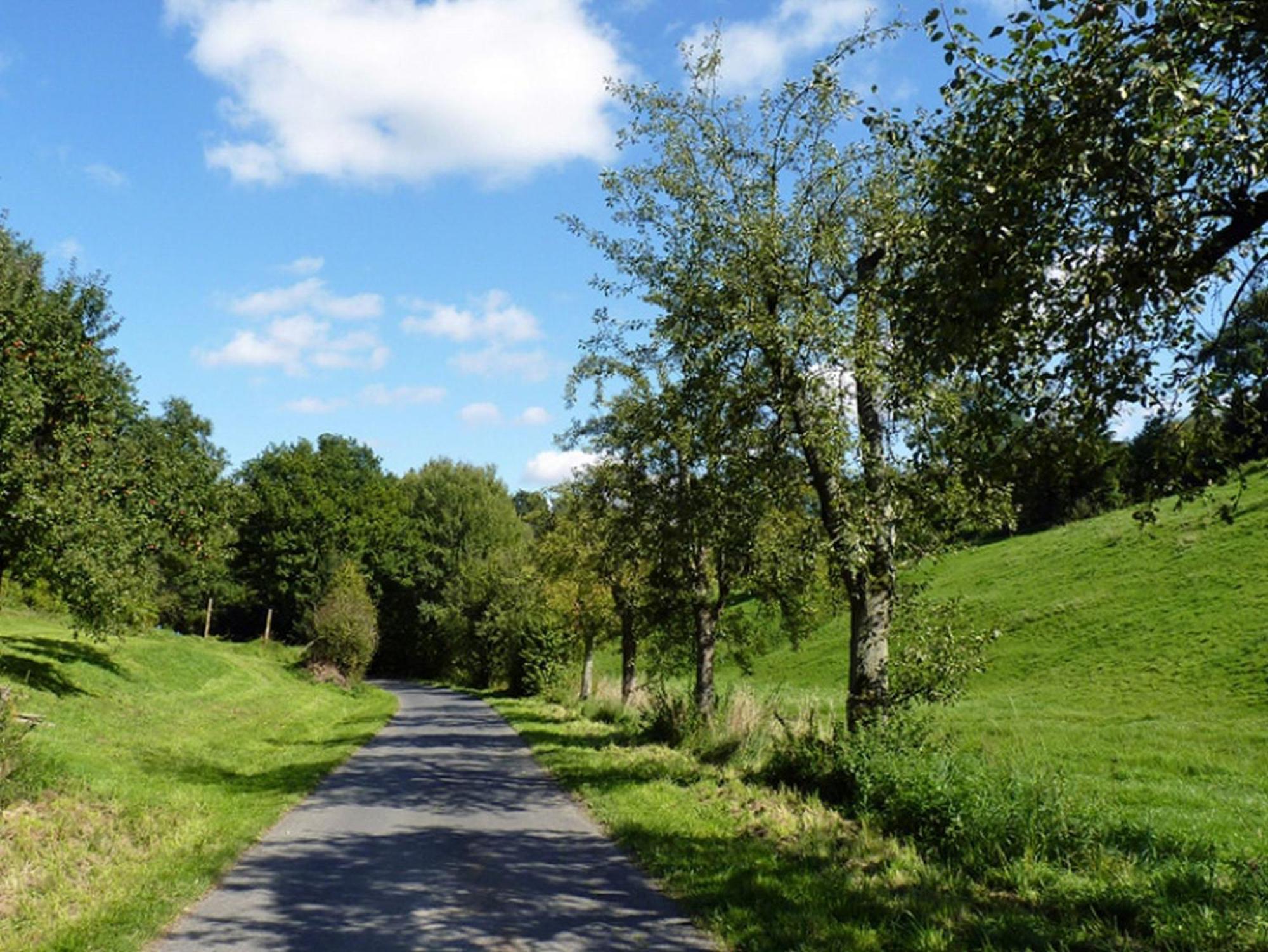 Ferienwohnung Jacobi Kurfuerst Naumburg (Hessen) Bagian luar foto