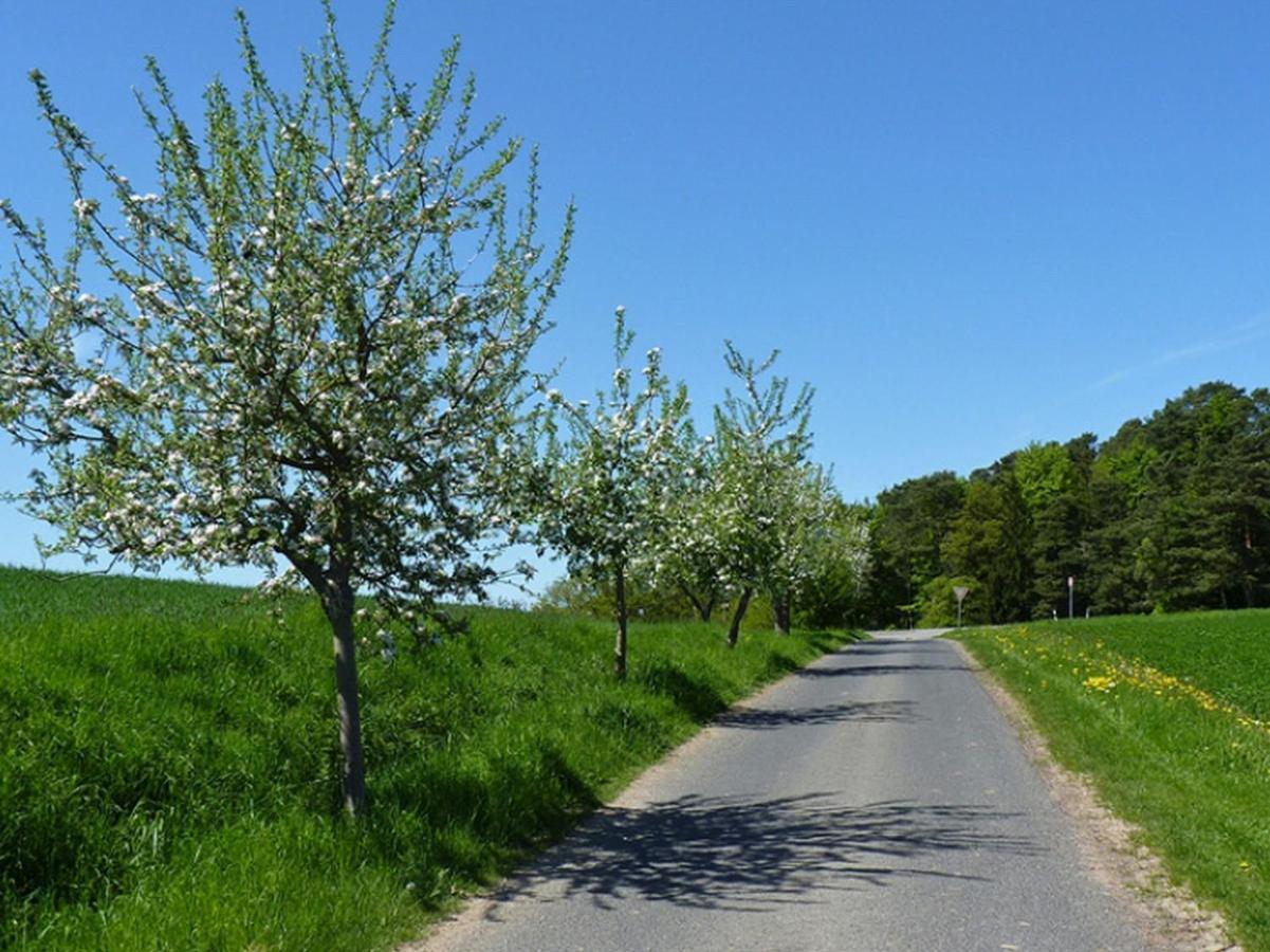 Ferienwohnung Jacobi Kurfuerst Naumburg (Hessen) Bagian luar foto