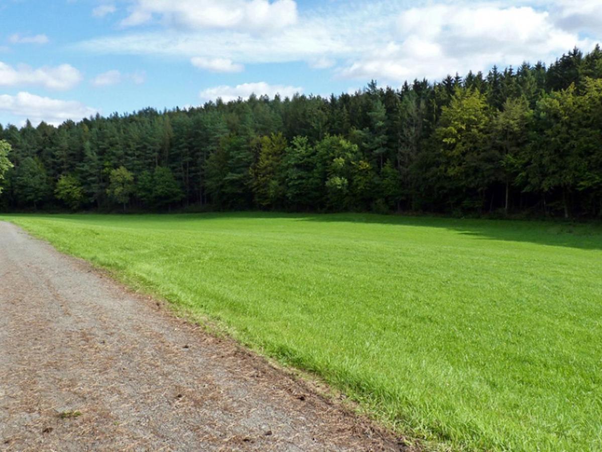 Ferienwohnung Jacobi Kurfuerst Naumburg (Hessen) Bagian luar foto