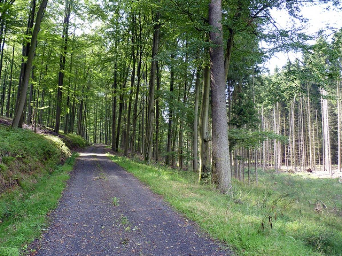 Ferienwohnung Jacobi Kurfuerst Naumburg (Hessen) Bagian luar foto